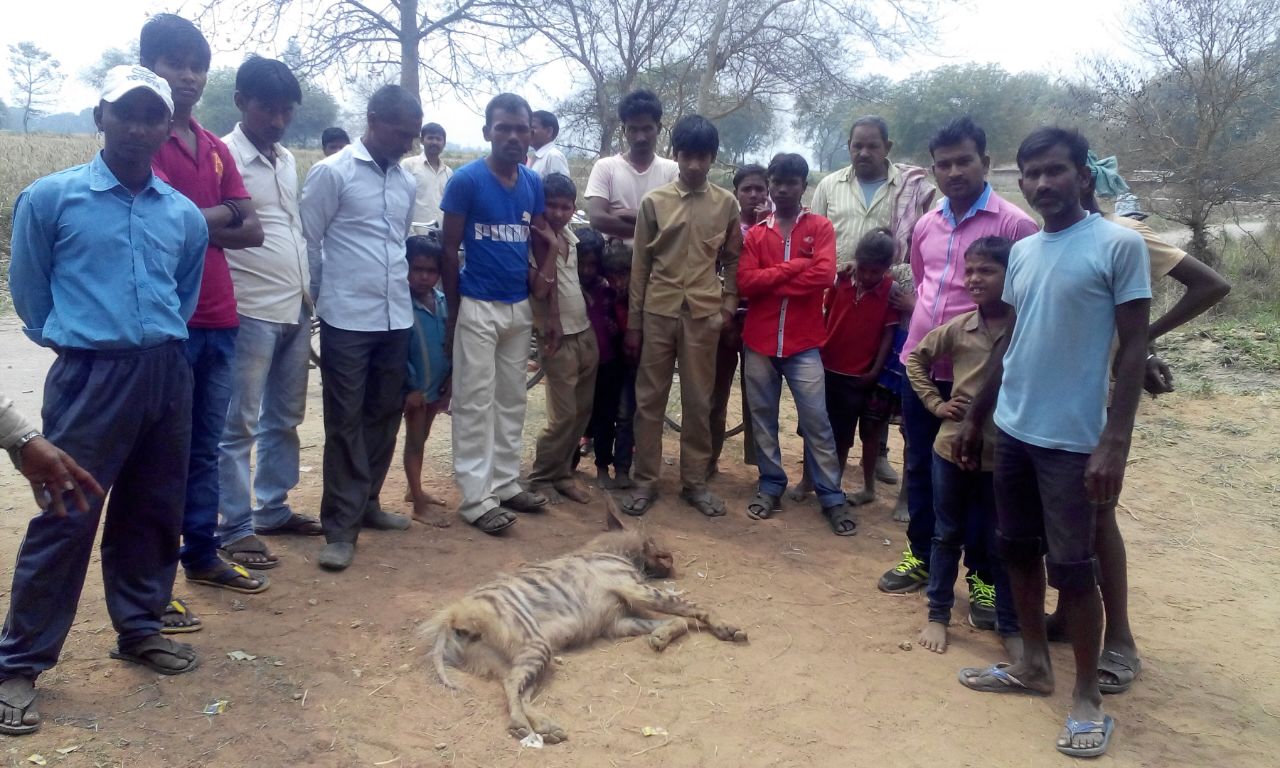 Photo: Villagers seeing the dead Hyena.
