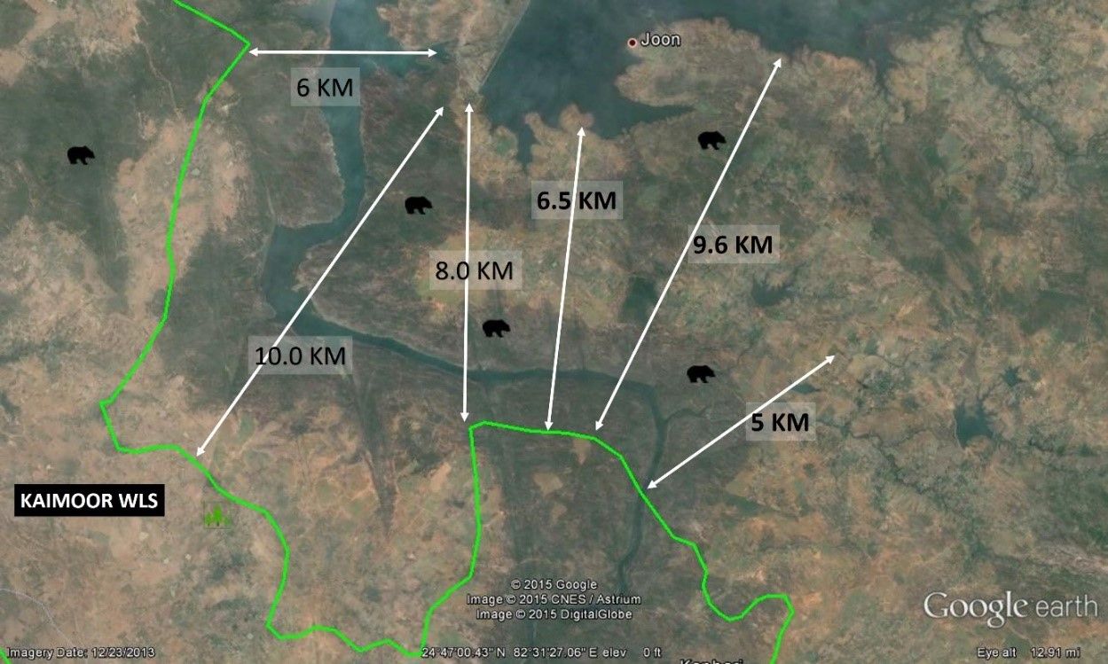 Fig 3 Patehara