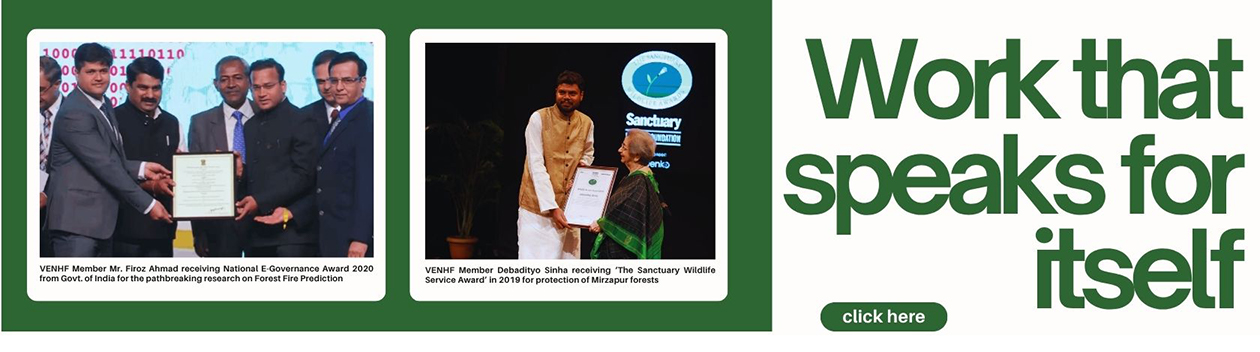 Recognitions and Awards of VENHF Members