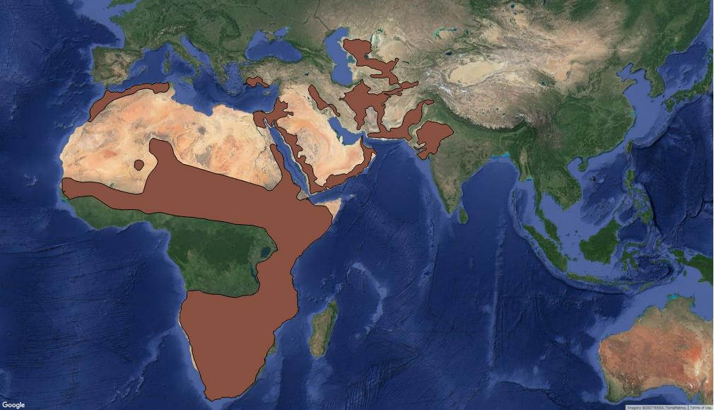 caracal distribution map courtesy iucn